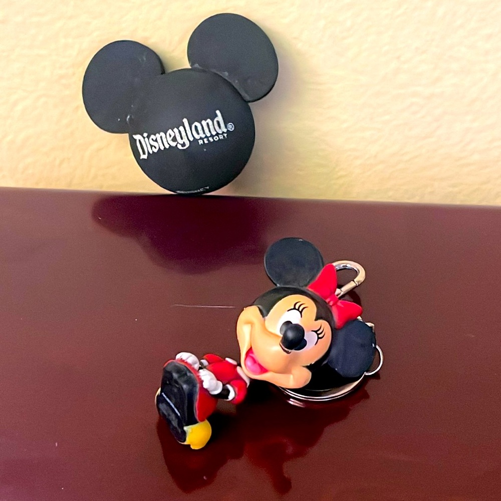 Disneyland souvenirs keychain